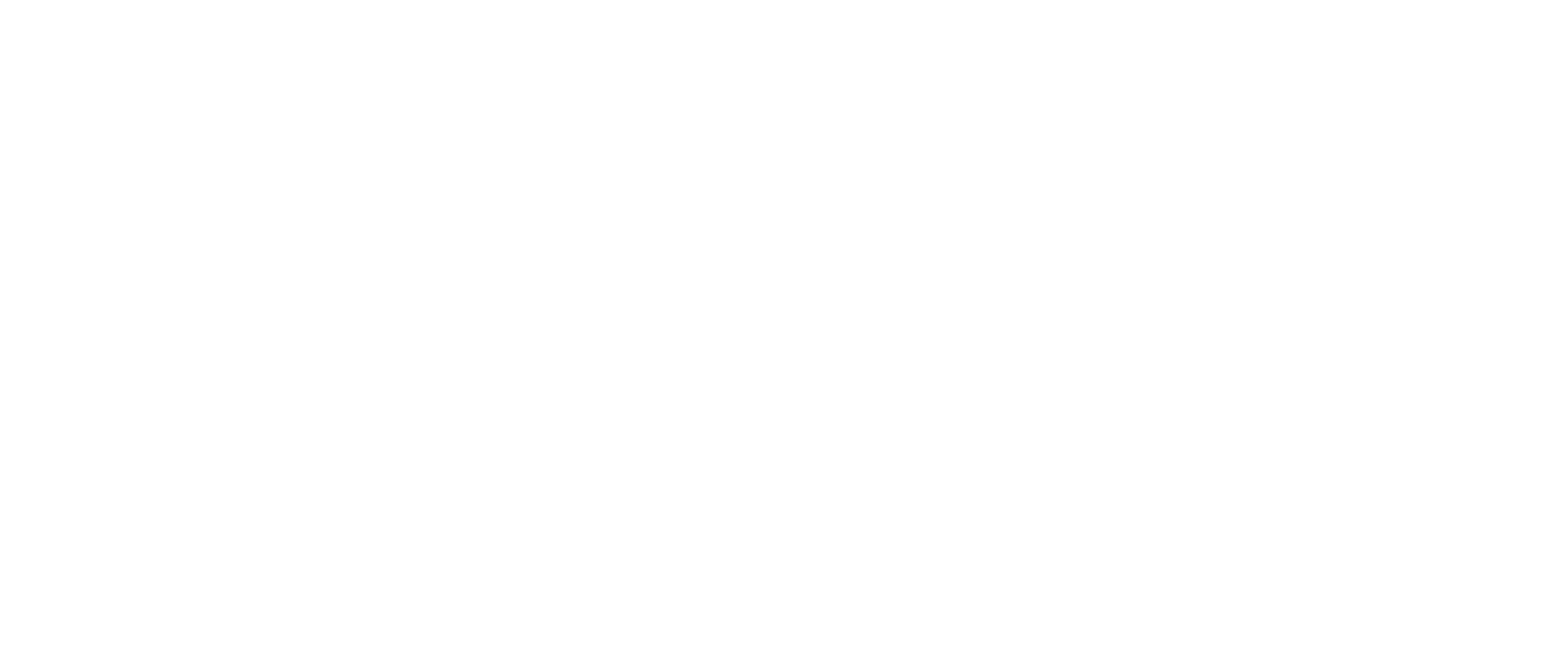 ASL Media Group Logo White